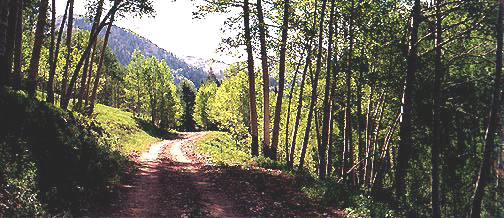 La Sal Mountains, Utah