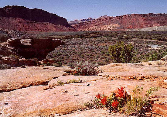 Delicate Arch Viewpoint [45k]