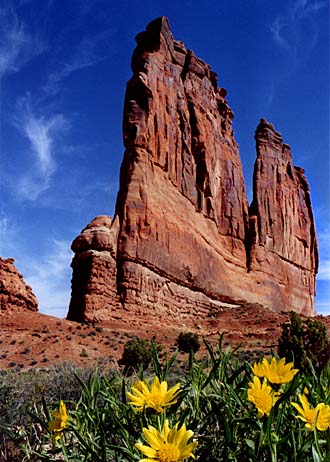 Springtime in Arches [45k]