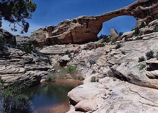  Owachomo Natural Bridge [67kb]