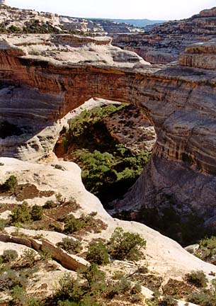 Sipapu Natural Bridge [51kb]