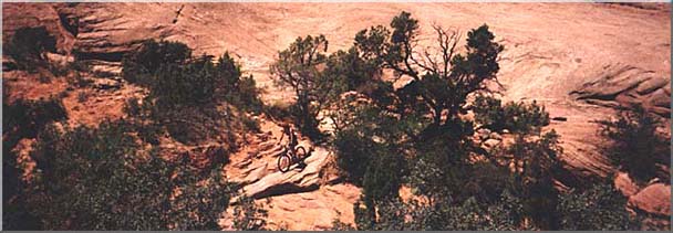 Bicycle Trails in Slickrock Country