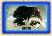 bookendbutton.jpg - 15962 Bytes